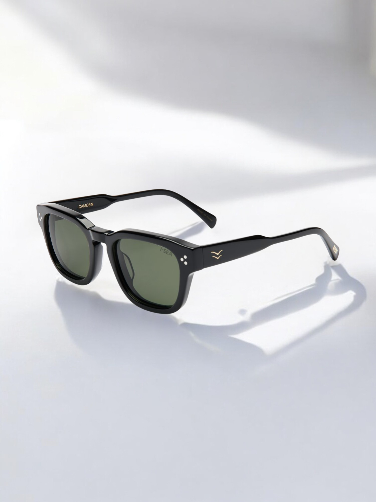 Anteojos Camden - Black