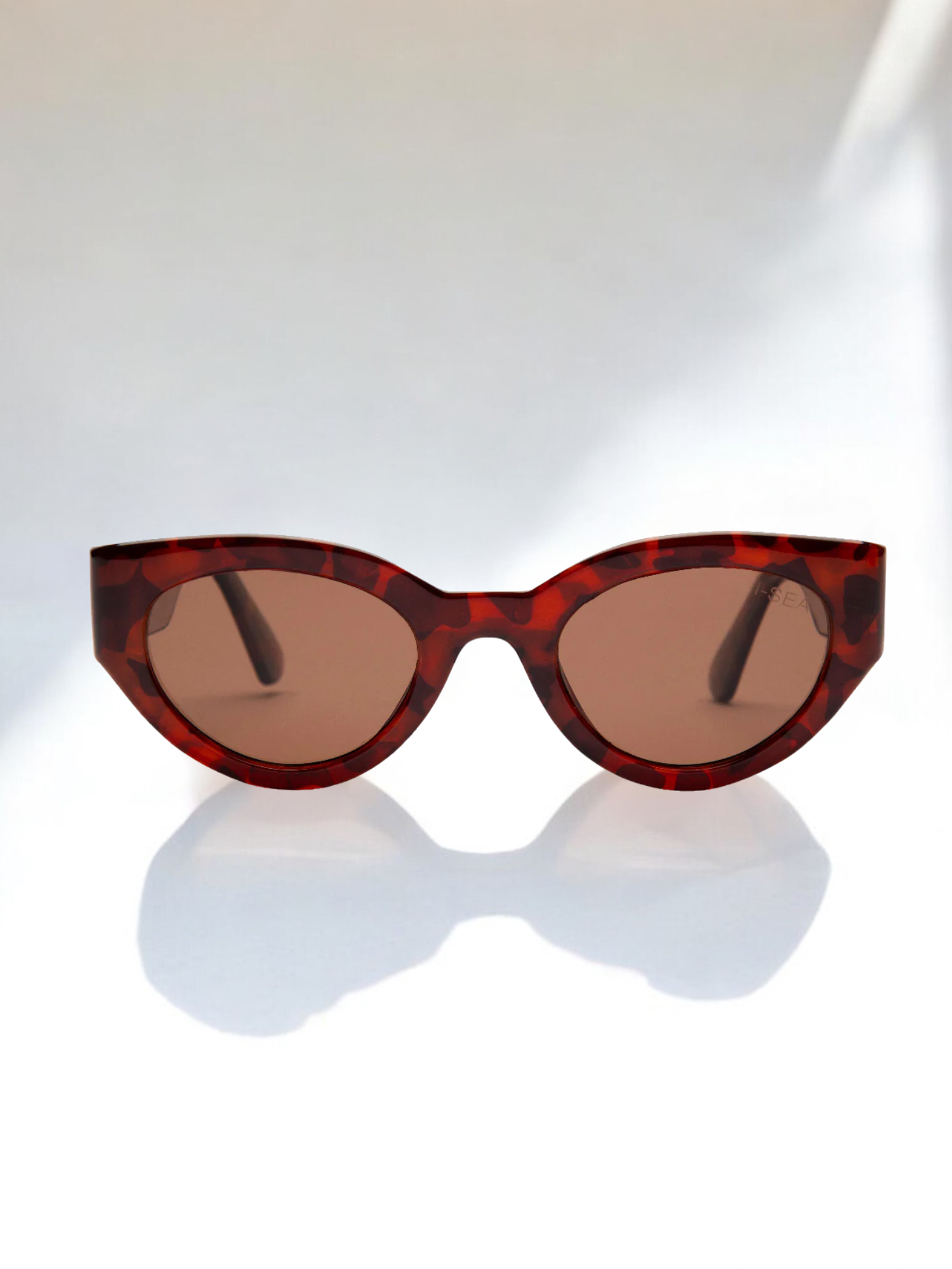 Anteojos Ashbury Sky - Havana Tort