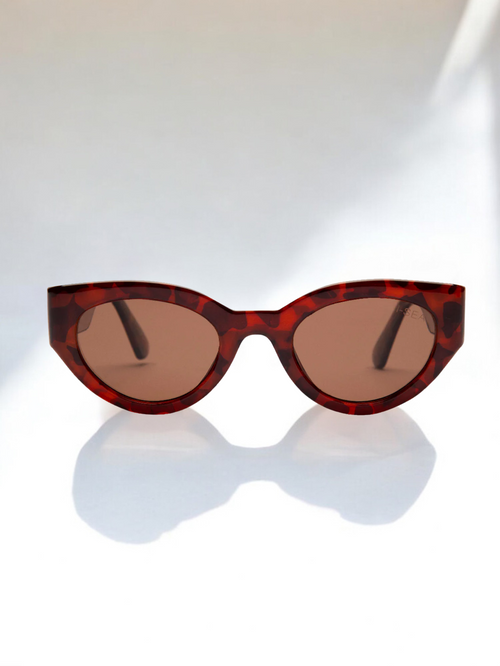 Anteojos Ashbury Sky - Havana Tort