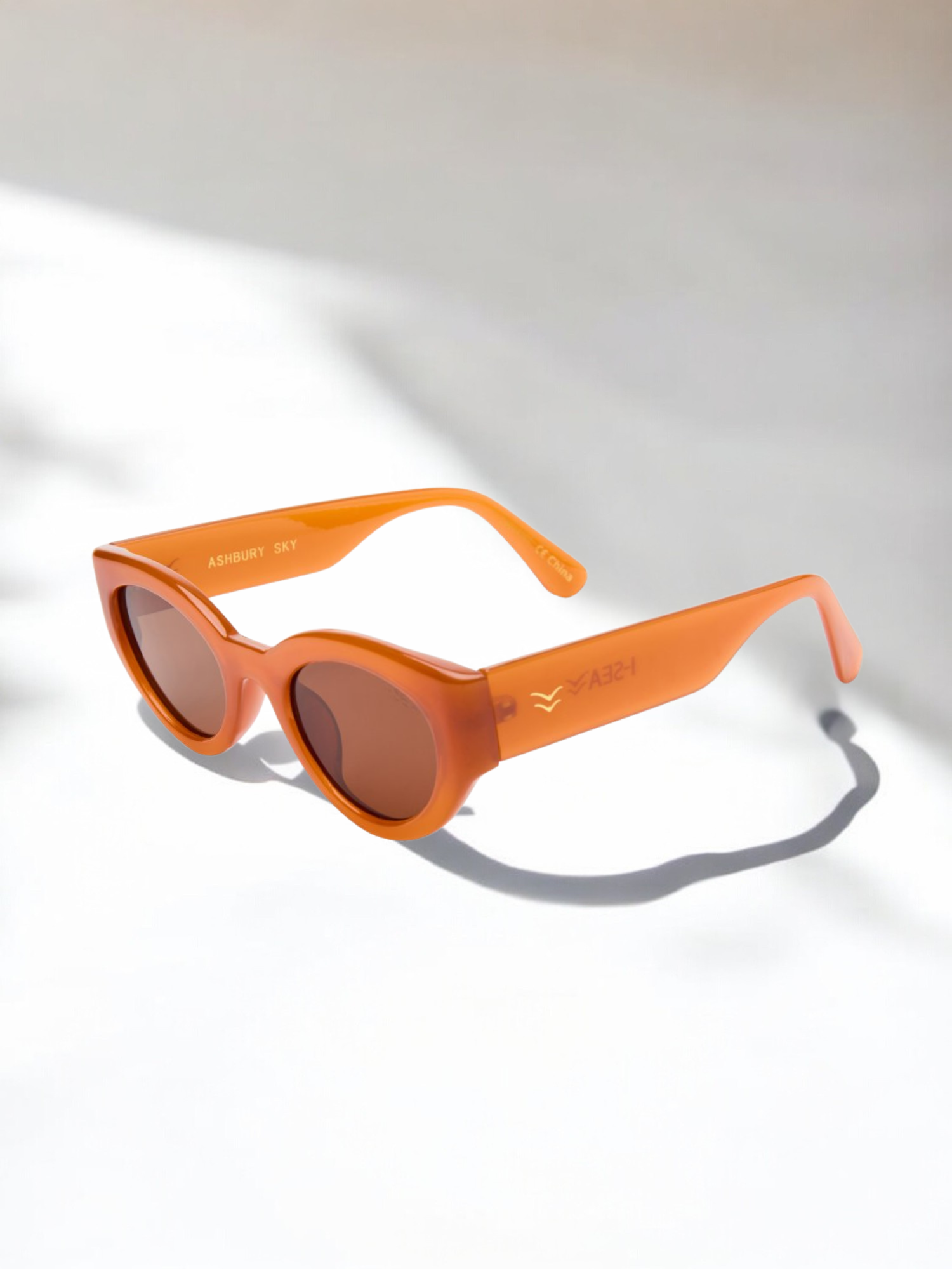Anteojos Ashbury Sky - Apricort