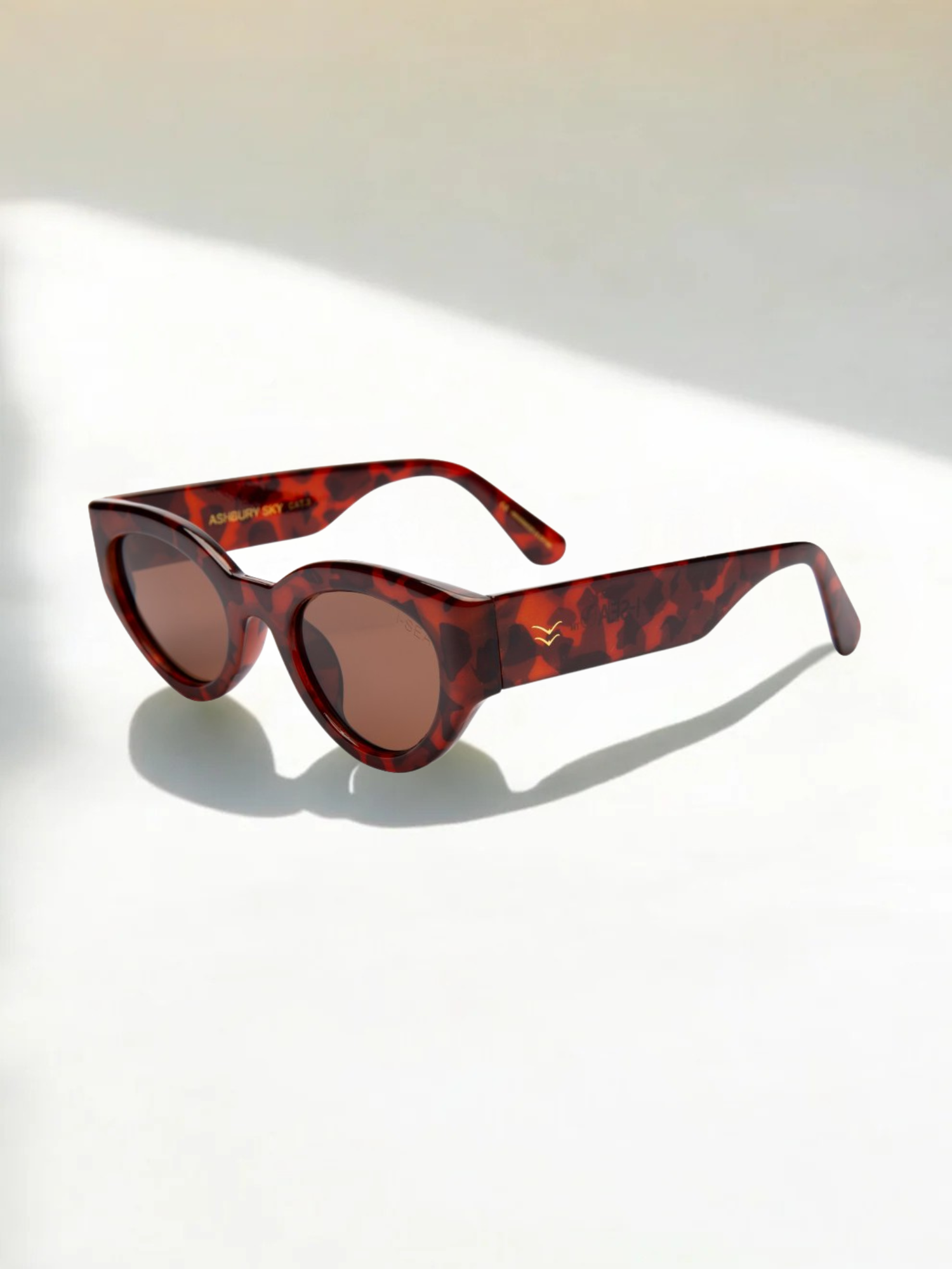 Anteojos Ashbury Sky - Havana Tort