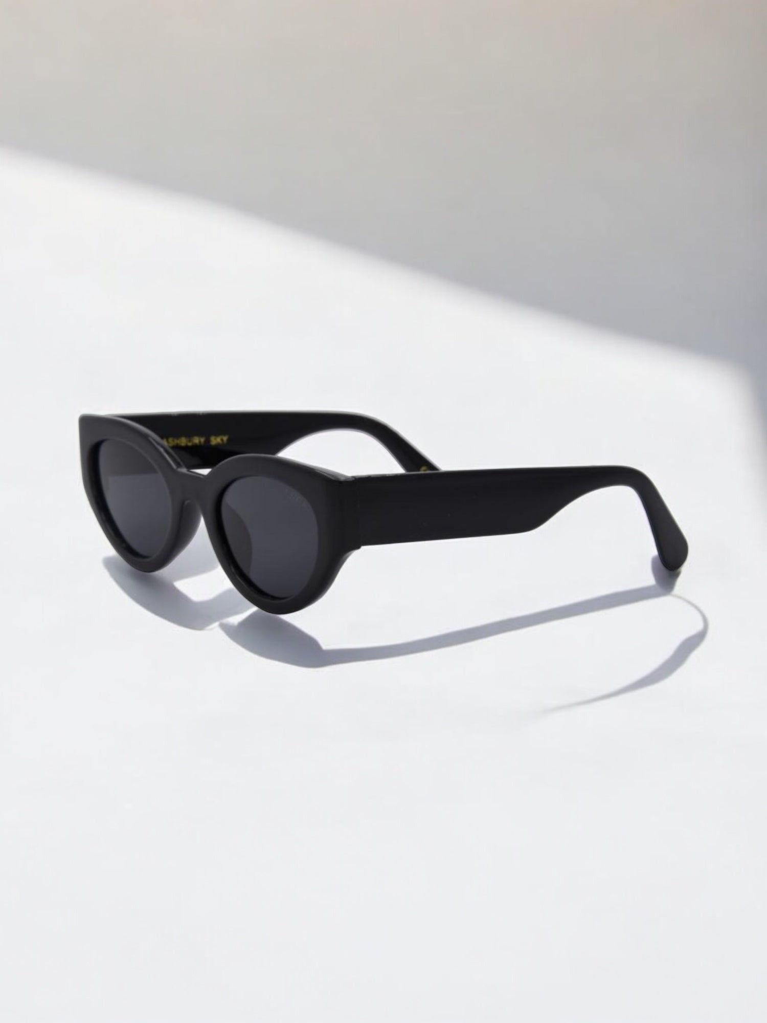 Anteojos Ashbury Sky - Black