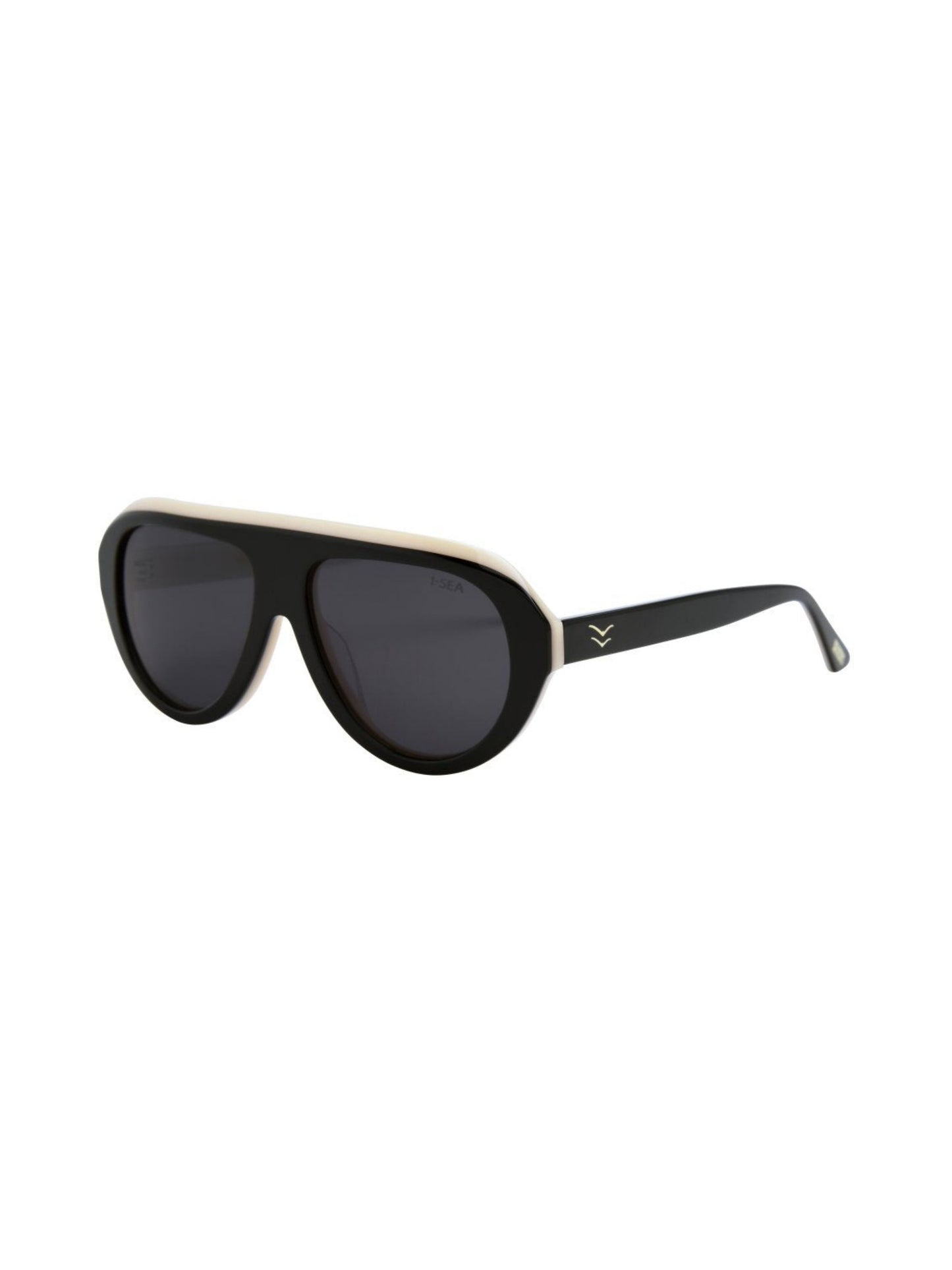 Anteojos Aspen - Black