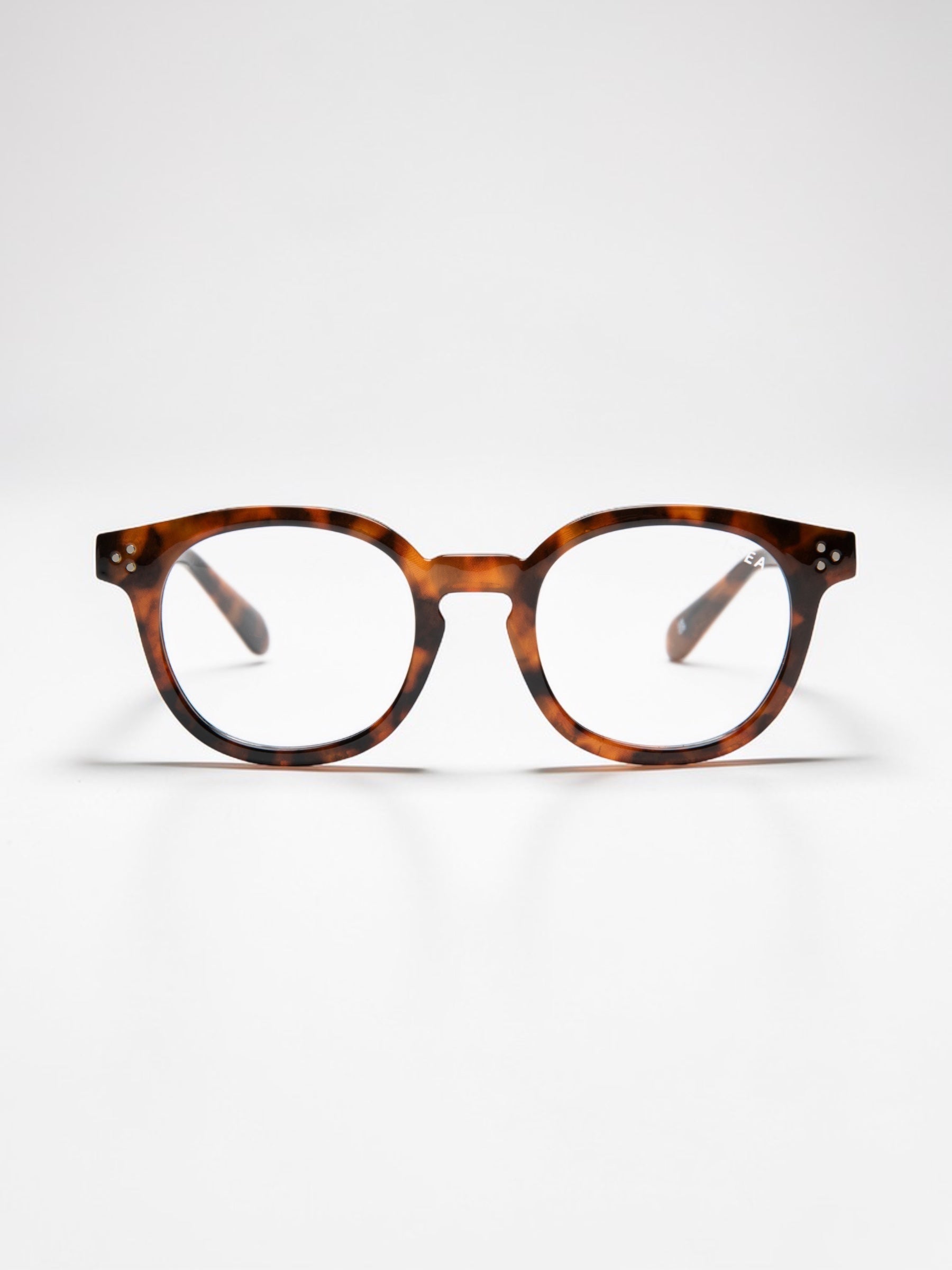 Anteojos de Lectura Hayden - Tort