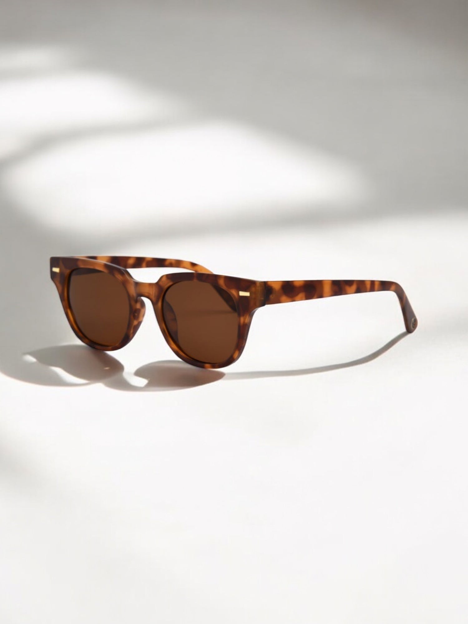 Anteojos Lido - Tort