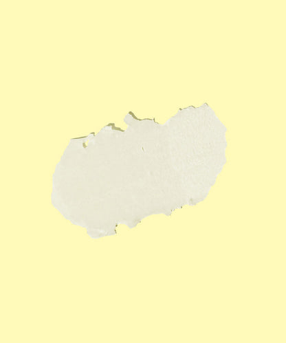 BÁLSAMO LABIAL LIPBALM SPF 30 - COCO